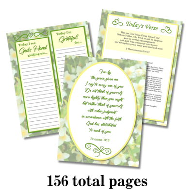 Saved By Grace Bible Study for Women