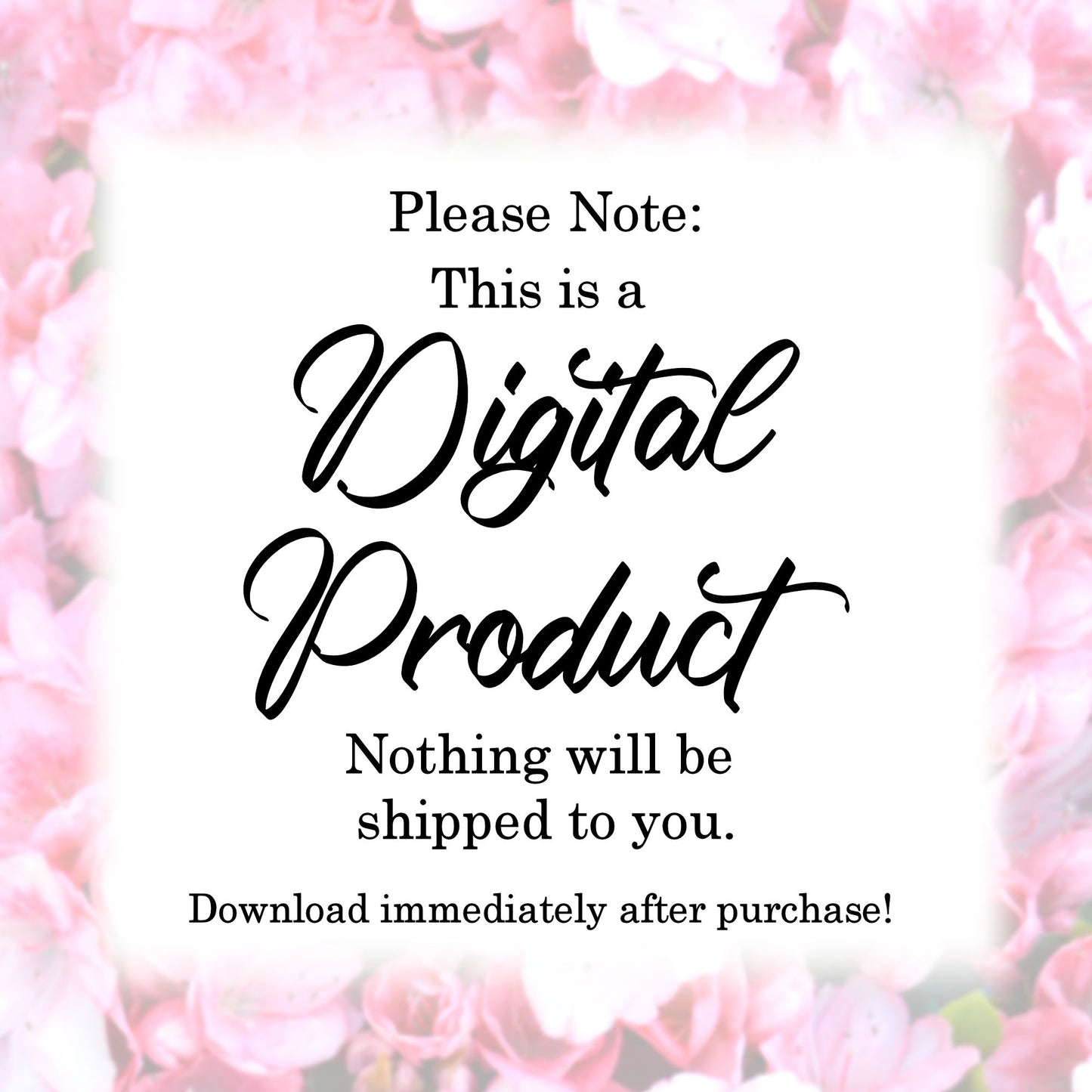 Inspired Everyday Collection: 6 Easy-to-Follow 31 Day Bible Studies for Women