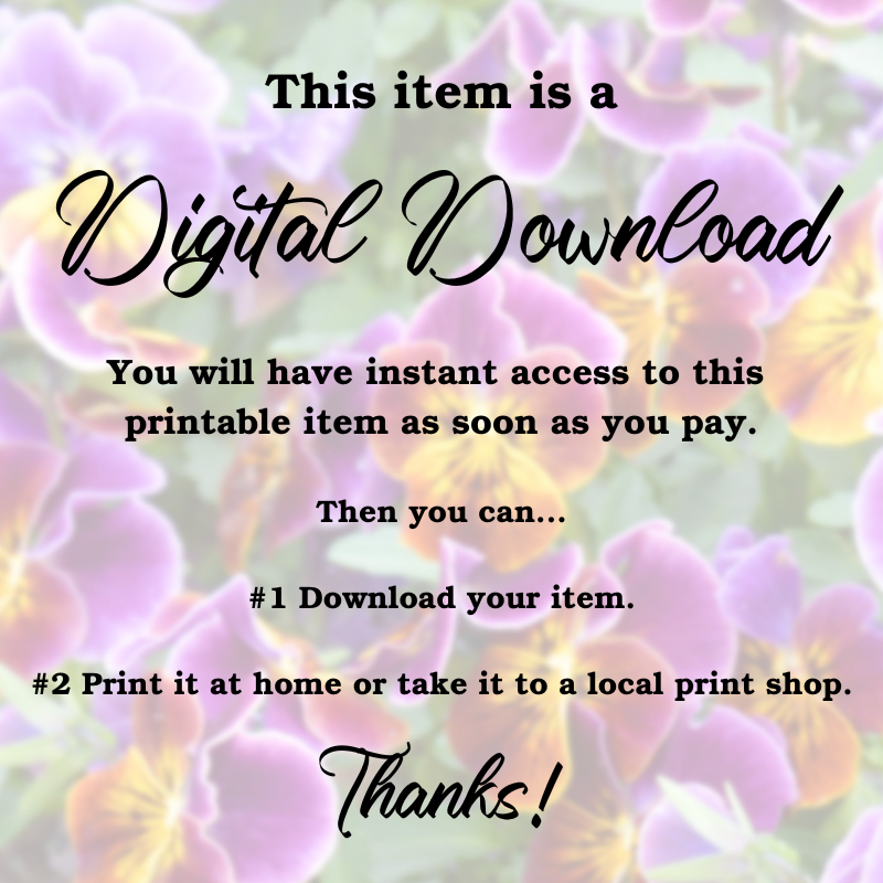 Seeing God's Hand Collection Daily Devotional for Women