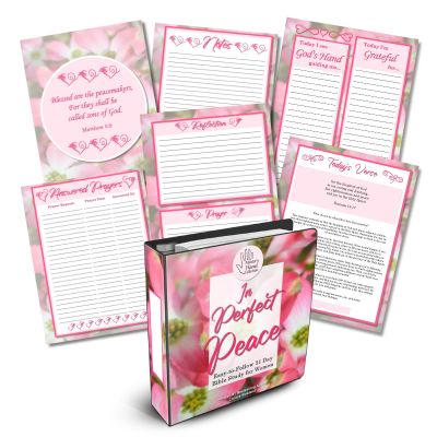 Inspired Everyday Collection: 6 Easy-to-Follow 31 Day Bible Studies for Women-Special Offer