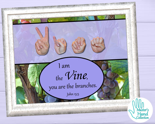 I Am the Vine Printable Bible Verse Wall Art