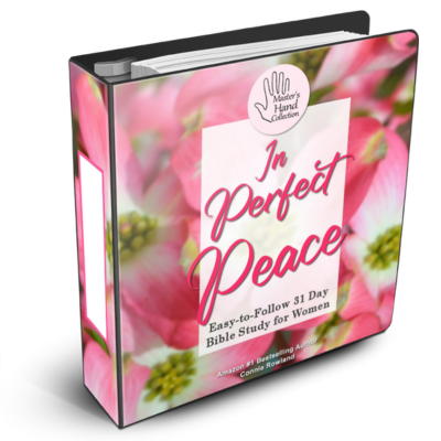 in perfect peace daily devotional journal